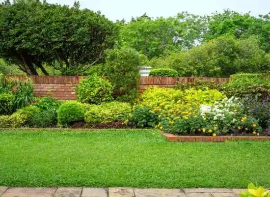 landscaping services Woodlawn